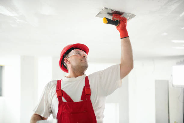 Best Pressure Washing and Painting Preparation  in Brooksi, DE